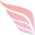 birdcocain.pages.dev favicon